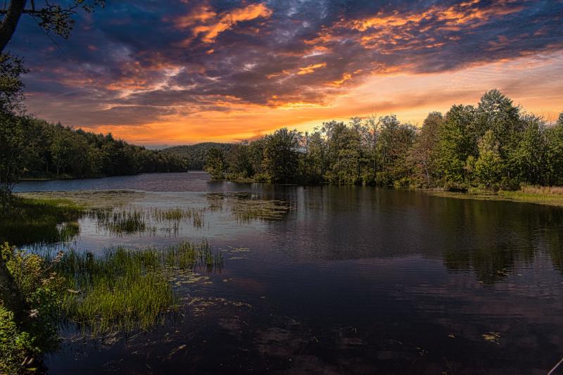 Featured image of post 2023年12月15日台网签到表