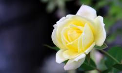 Featured image of post 2023年12月29日台网签到表