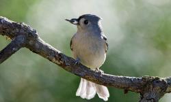 Featured image of post 2023年12月08日台网签到表